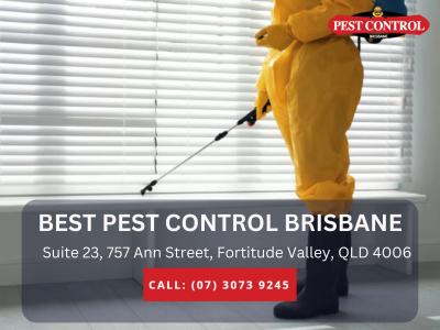 Pest Specialist Brisbane - Expert Pest Control Services