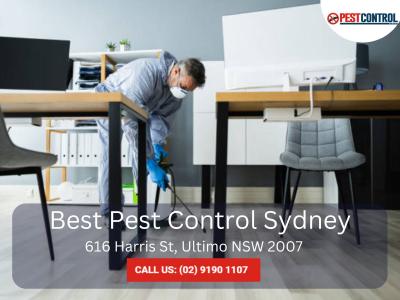 Pest Inspection Cost in Sydney - Affordable & Thorough