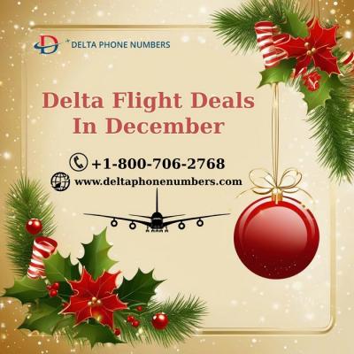 Delta flight tickets in December  - Chicago Other