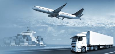 International Transportation Service - Mississauga Other