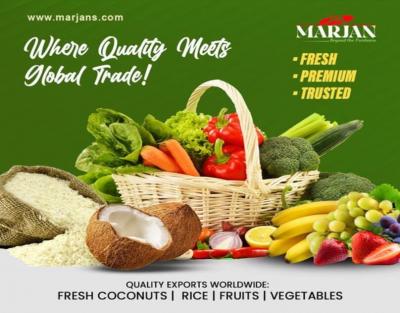 Wholesale Exporters India   - Other Other