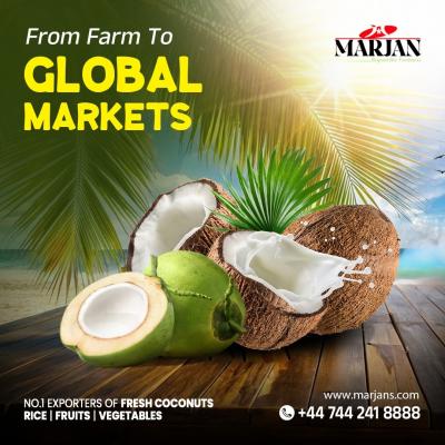 coconut exporters India