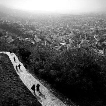 Delta Airlines Baggage Policy - Phoenix Other