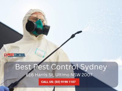 Professional Commercial Pest Control Services in Sydney