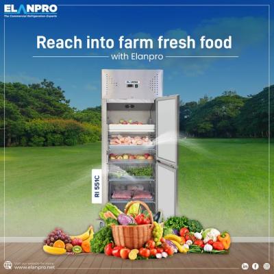 Upgrade Your Kitchen with Elanpro Kitchen Refrigerators