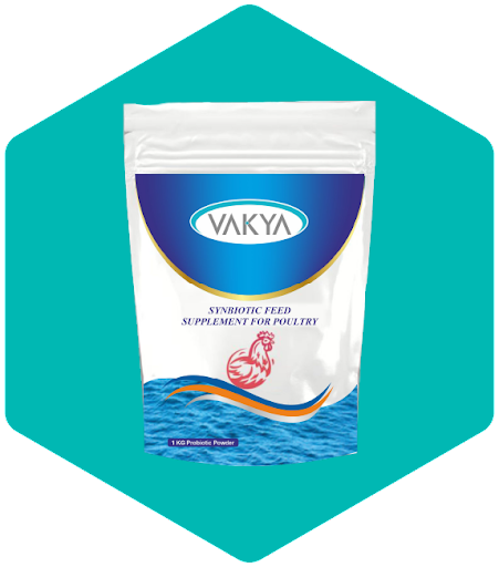 Probiotic Supplement Exporters And Suppliers - Hyderabad Other