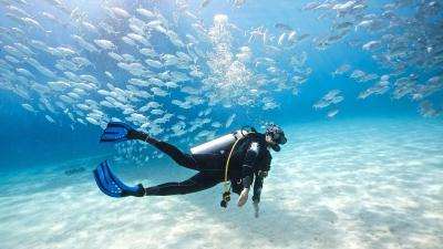 Scuba Diving in Nemo Beach - Navi Mumbai Other