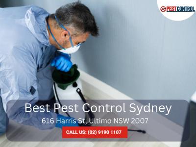 Professional Building Inspection Services in Sydney