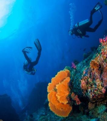 Snorkeling in Andaman Islands