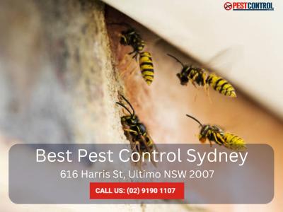 Building Inspection Services in Sydney