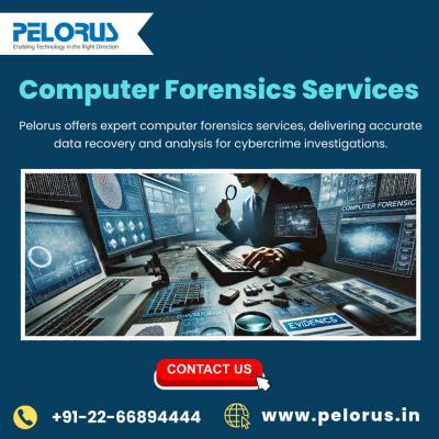 Computer Forensics Services  - Mumbai Other