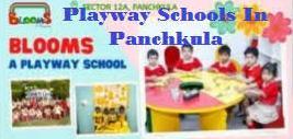 Playway Schools In Panchkula - Chandigarh Other