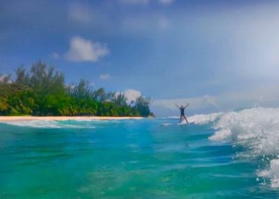 Surfing Barbados – Ride the Caribbean Waves - Los Angeles Other