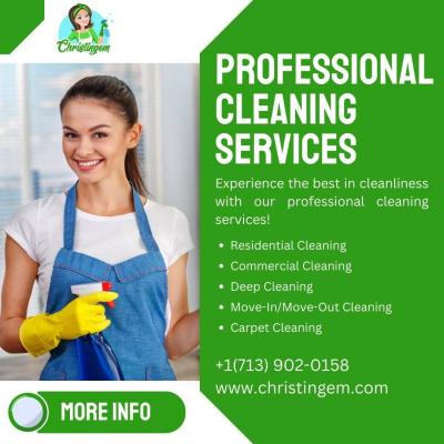 Professional Cleaning Services in Houston
