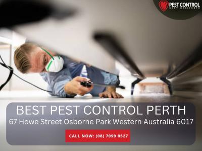 Termite Treatment Perth – Effective Termite Control for Your Property