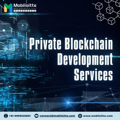 Private Blockchain Development Company- Mobiloitte - Delhi Computer