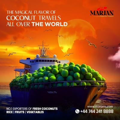 Tender Coconut Export