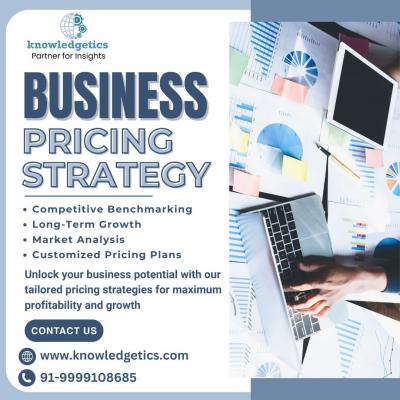 Business pricing strategies service