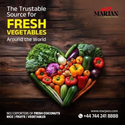 export of vegetables from india