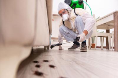 Protect Your Family: Top-Rated Pest Control in Dubai