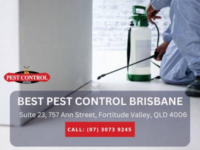 Professional Termite Inspection Brisbane