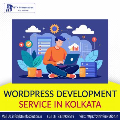 WordPress Development Service in Kolkata – BTN Infosolution