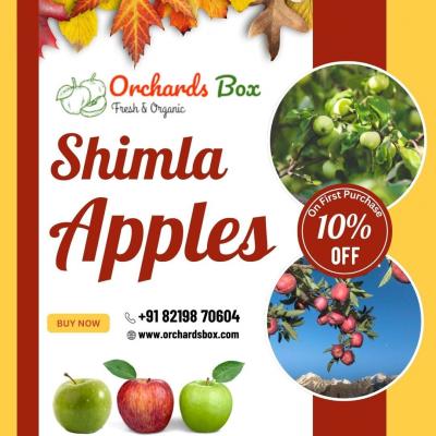 Shimla Apple Online