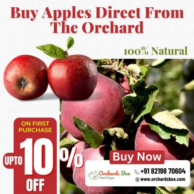 Buy Apples Direct From Orchard