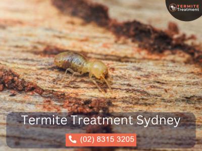 Residential Termite Treatment in Sydney