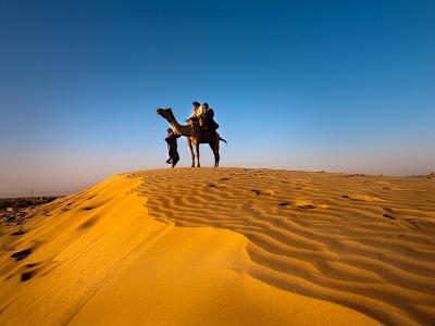 Desert Tour Packages - Jaipur Other