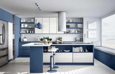 Modular Kitchen Design - Delhi Furniture