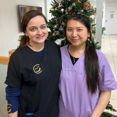 Dental CT Scans - Sydney Other