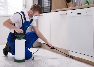 Residential Pest Control in Baltimore - Other Other