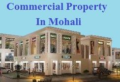Commercial Property In Mohali - Chandigarh Other