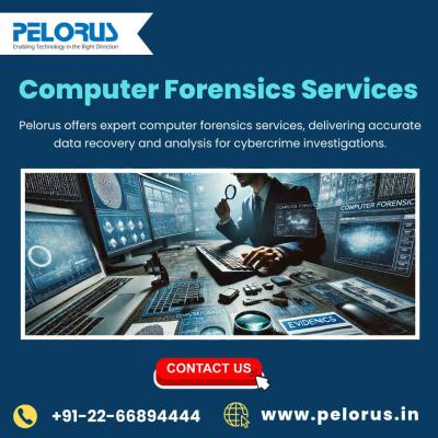 Computer Forensics Services  - Mumbai Other