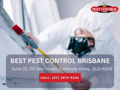  Pest Control for Home – Safe and Effective Solutions