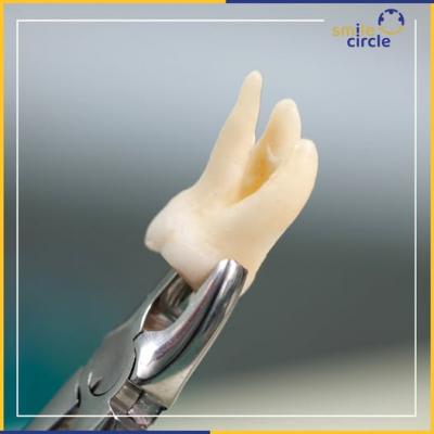 Smile Makeovers Southampton  - Sydney Other