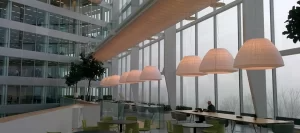 Top Digital Signs Providers Australia