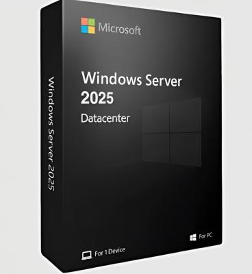 Windows Server 2025 License Price - Other Professional Services