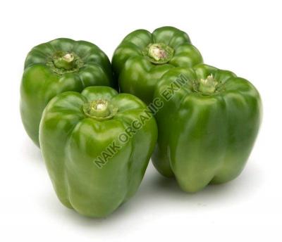 Fresh green capsicum exporter telangana