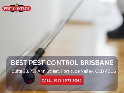 Expert Pest Control for Businesses in Brisbane – Keep Your Workplace Pest-Free!