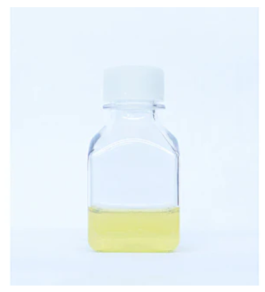 Cadmium Selenide Quantum Dots