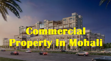 Commercial Property In Mohali - Chandigarh Other