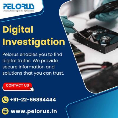 digital investigation - Mumbai Other