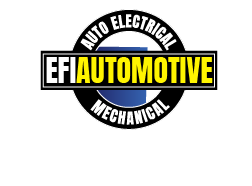 Electric Brake Install - Sydney Other