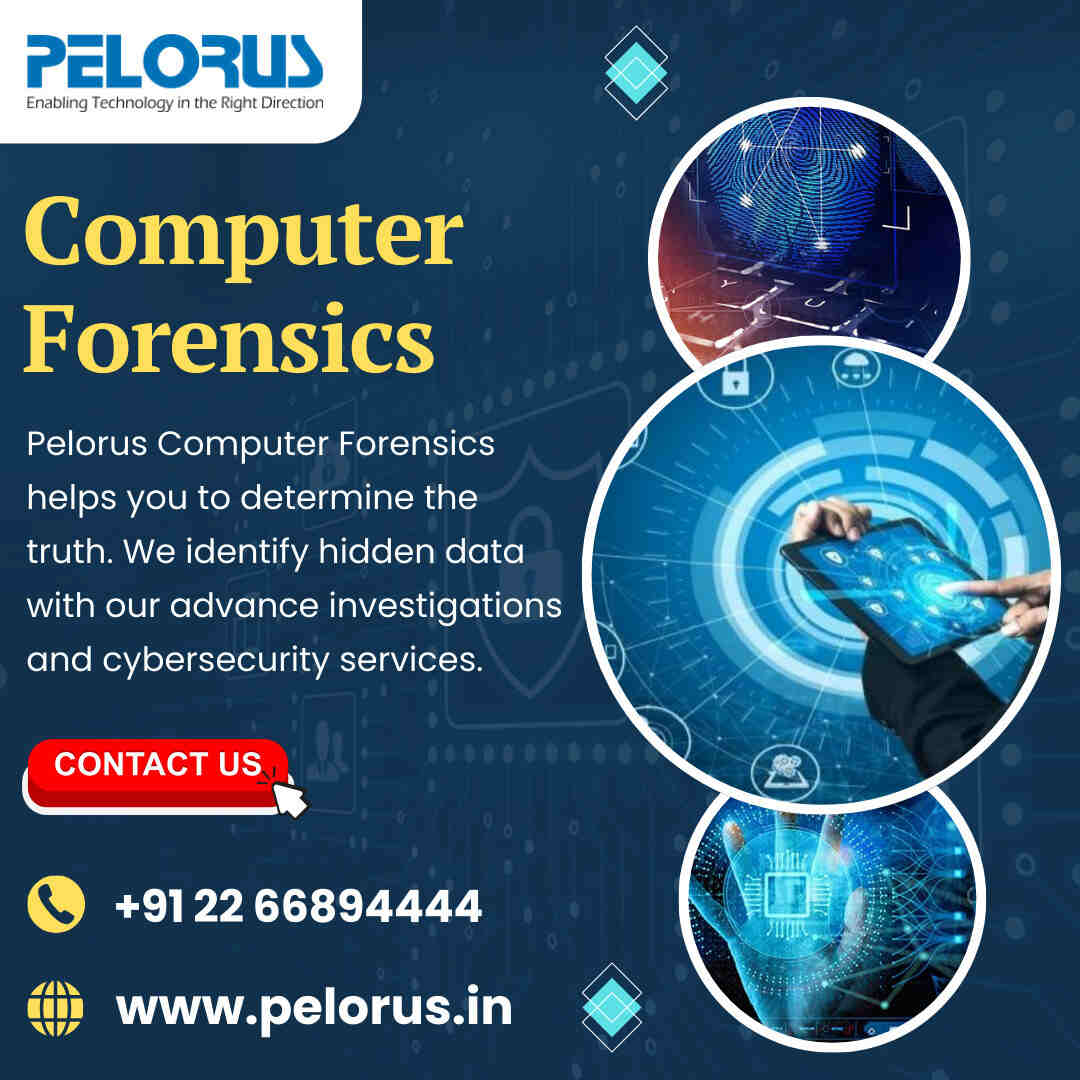 Computer Forensics Services  - Mumbai Other