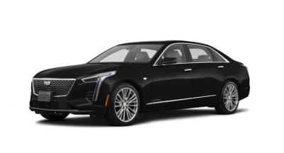 Tampa Luxury Car Service - Other Other