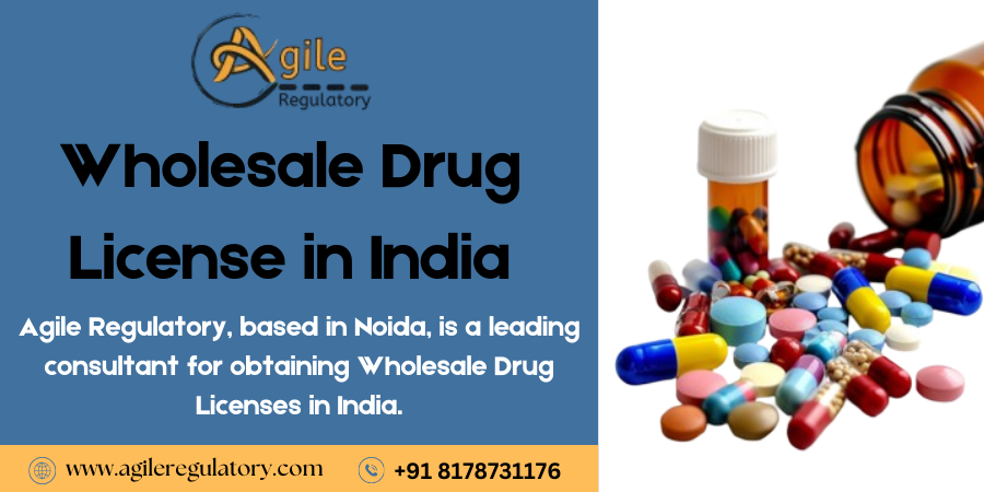Wholesale Drug License in India - Delhi Other