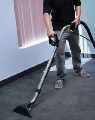 Experienced Pet Accident Cleaner In San Carlos, CA | Complete Carpet & Upholstery