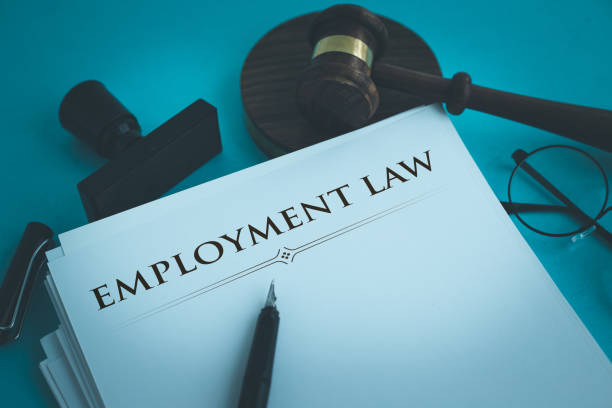 Expert Employment Law Advice for UK Workers